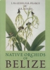 Native Orchids of Belize
