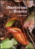 Nepenthes of Borneo - OB521012