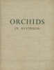Orchids in Australia