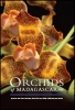 The Orchids of Madagascar 2nd ed.