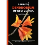 A Guide to Dendrobium of New Guinea