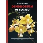 A Guide to Dendrobium of Borneo