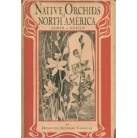 Native Orchids of North America - North of Mexico