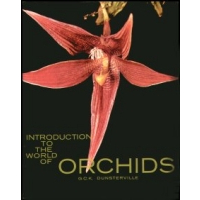 Introduction to the World of Orchids