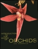 Introduction to the World of Orchids