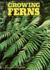 Growing Ferns