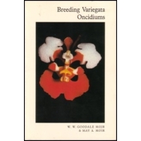 Breeding Variegata Oncidiums - OB50998