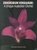 Dendrobium kingianum - A Unique Australian Orchid - OB512001