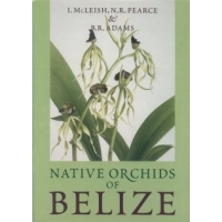 Native Orchids of Belize