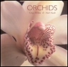 Orchids