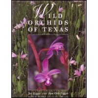 Wild Orchids of Texas