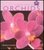 A Pocket Guide to Orchids