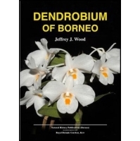 Dendrobium of Borneo