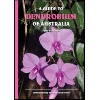A Guide to Dendrobium of Australia