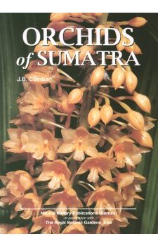 Orchids of Sumatra - OB512018