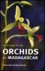 Field Guide to the Orchids of Madagascar  -  OB512324