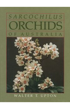 Sarcochilus Orchids of Australia - OB512101