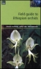 Field Guide to Ethopian Orchids  -  OB512293
