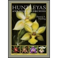 Huntleyas and Related Orchids