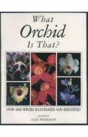 What Orchid Is That?