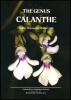 The Genus Calanthe - OB512379