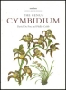 The Genus Cymbidium - OB512371