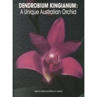 Dendrobium kingianum - A Unique Australian Orchid  -  OB512001A