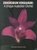 Dendrobium kingianum - A Unique Australian Orchid - OB512001A
