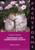 Pachyforms - A Guide to Growing Pachycaul and Caudiciform Plants