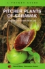 Pitcher Plants of Sarawak