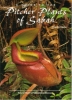 A Guide to the Pitcher Plants of Sabah