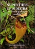 Nepenthes of Sumatra and Peninsular Malaysia