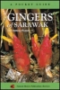 Gingers of Sarawak