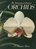 The International Book of Orchids