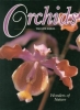 Orchids - Wonders of Nature - OB50141