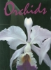 Orchids