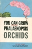 You Can Grow Phalaenopsis Orchids - OB50189
