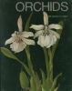Orchids - OB50201