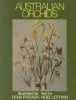 Australian Orchids - OB50524