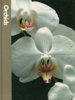 Orchids