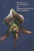 Wunderwelt der Orchideen im Botanischen Garten Berlin-Dahlem