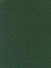 Orchids of India - OB50594