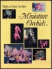 Miniature Orchids - OB50754