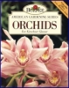 Orchids