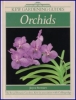 Orchids