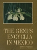 The Genus Encyclia in Mexico